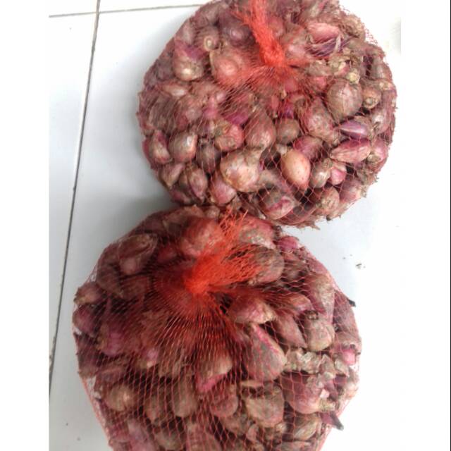

Bawang brebes uk gede