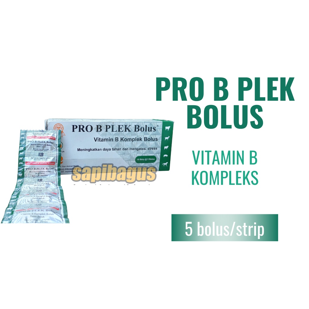 Jual Pro B Plek Bolus - Vitamin B Kompleks Ternak - 5 Bolus / Strip ...