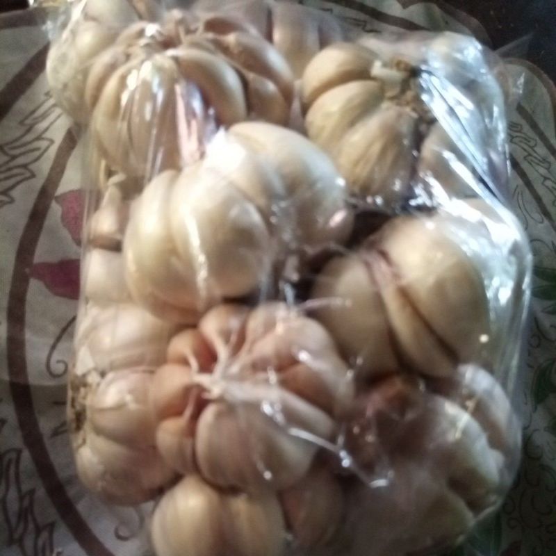 

Bawang Putih