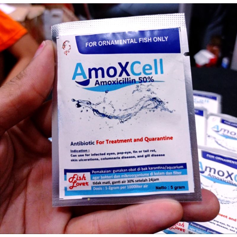 Obat ikan Antibiotik FISH LOVER AMOXCELL 5gr