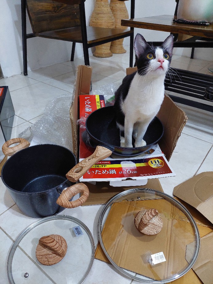 Yoshikawa Mj1212 20cm Panci Tinggi Marble Tutup Kaca Fry Wok ( Iop-3 )