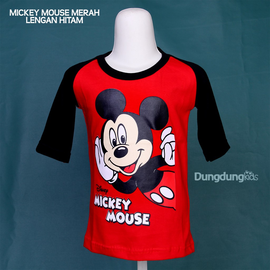 BAJU KAOS RAGLAN KARAKTER PAKAIAN ATASAN ANAK COWOK LAKI LAKI MOTIF BAJU KAOS RAGLAN KARAKTER PAKAIAN ATASAN ANAK COWOK LAKI LAKI MOTIF