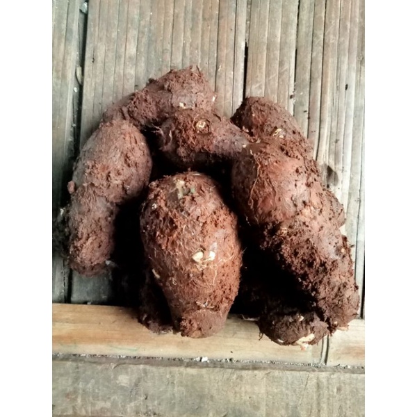 

kimpul/belitung/kimpul makanan tradisional/ makanan jadul/kimpul 500 gram