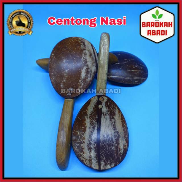 Centong Nasi Batok Kelapa / Sendok Nasi Batok Kelapa