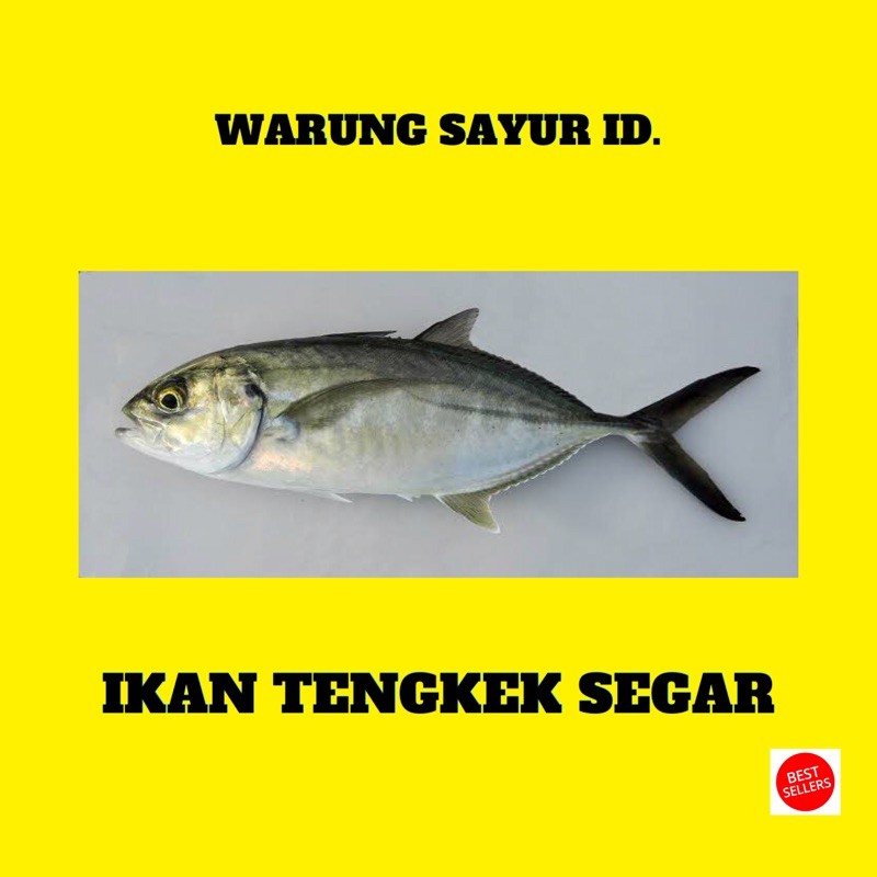 

IKAN TENGKEK SEGAR 500 GRAM