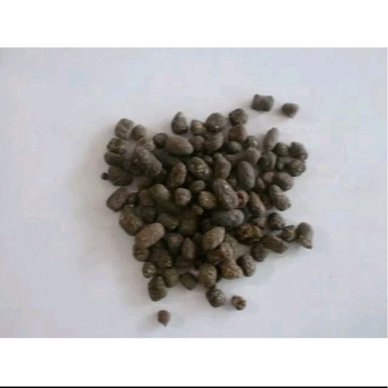 

300 G GR GRAM 五灵脂 WU LING ZHI TROGOPTERORI FAECES