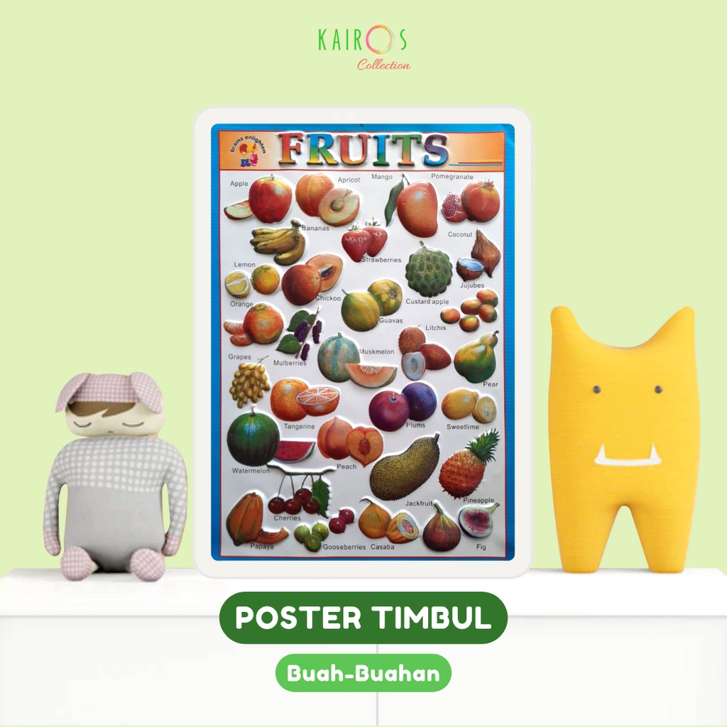 Paket 5 Poster Timbul Edukasi Anak Menenal Angka Huruf Buah Binatang Matematika