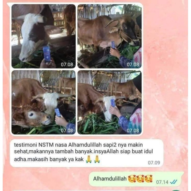 NSTM - UNTUK PENYAKIT PMK PADA HEWAN - NSTM NASA TRACE MINERAL - OBATI HEWAN YANG TERNKENA PMK- SUPL