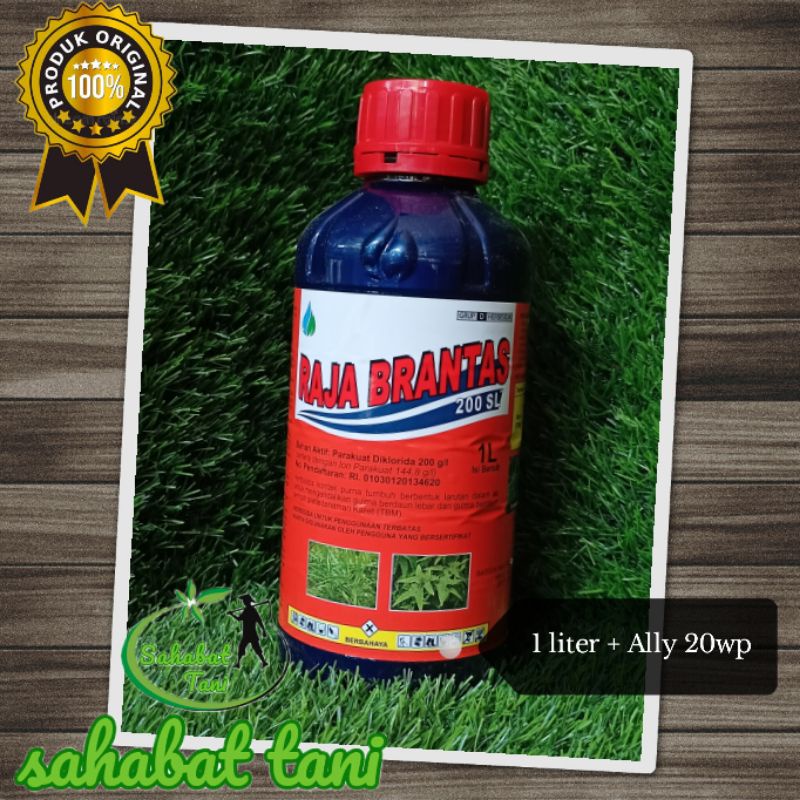 HERBISIDA KONTAK RAJA BRANTAS 200SL + ally