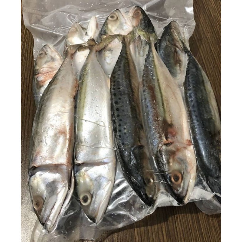 

Ikan Kembung Banjar Segar / Ikan Kembung / Ikan Segar 500 GRAM