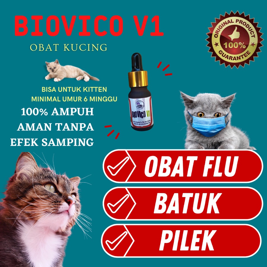 obat flu kucing BIOVICO V1 Antibiotik Pernafasan Kucing Obat Pilek Batuk Kitten Demam Anak Kucing Menyusui Hamil Sariawan Bau Mulut