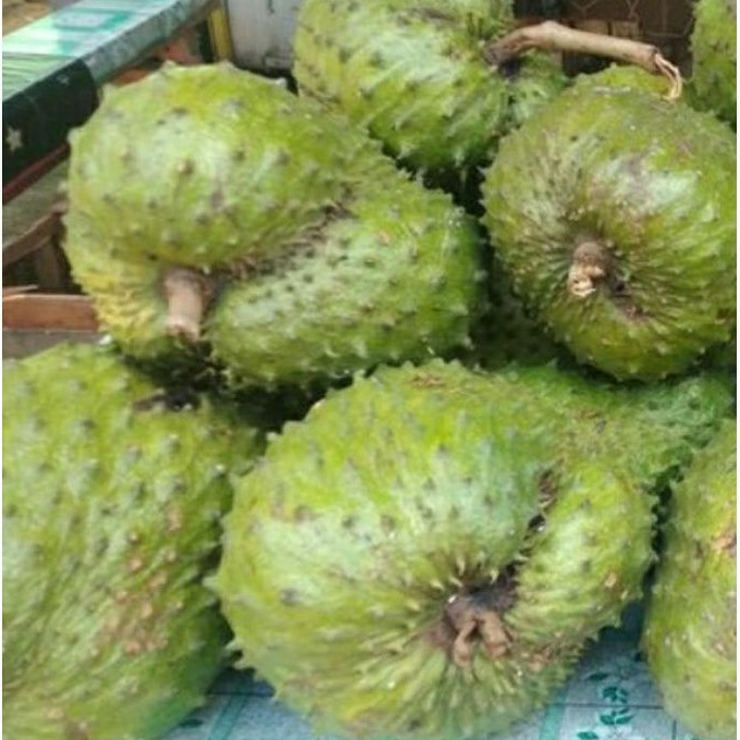 

BUAH SIRSAK / SRIKAYA SIRSAK