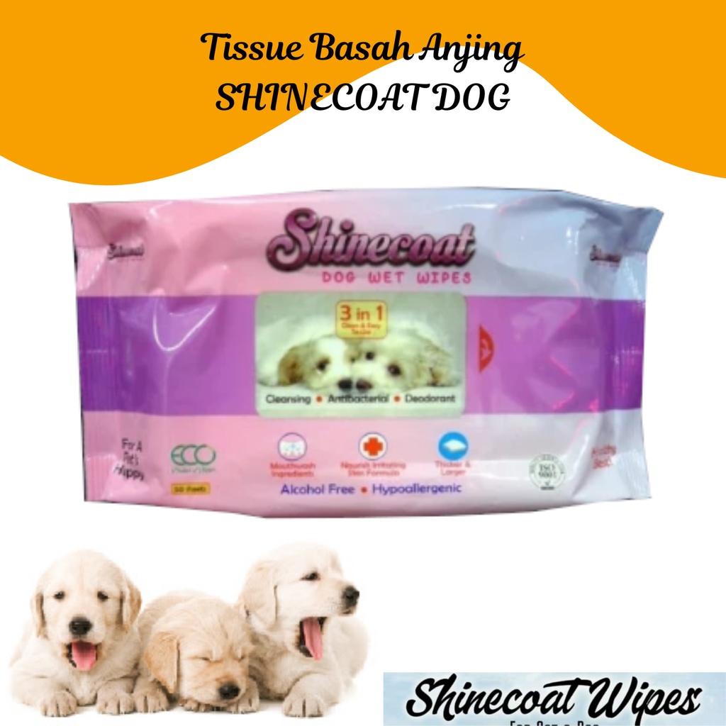 Tissue Basah Kucing &amp; Anjing SHINECOAT For CAT &amp; DOG | SHINE COAT TISSUE Isi 50 Pcs