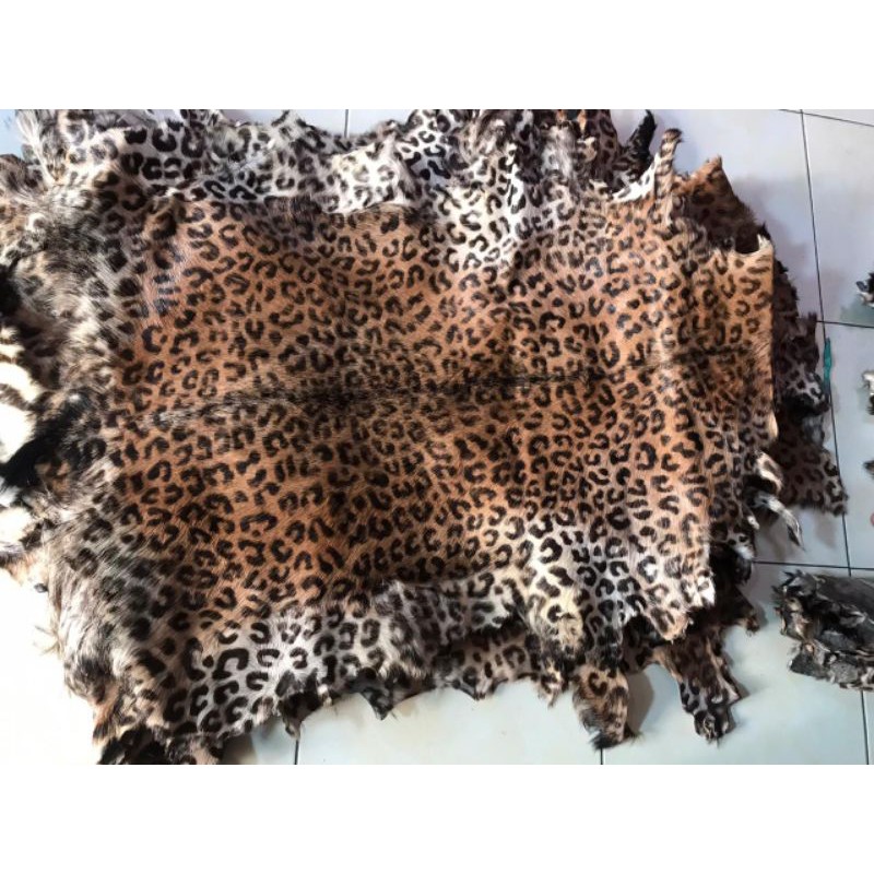 kulit kambing motif leopard harimau jaguar