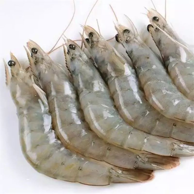 

Udang veci Harian 1kg udan saiz 90-100 ekor