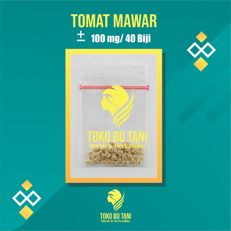 Benih Tomat Keriting Mawar Sayuran Bintang Asia - Bibit Tanaman Sayur