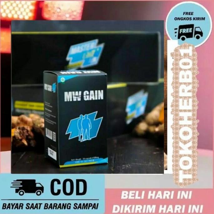 MASTER WEIGHT GAIN MW GAIN PENGGEMUK BADAN original