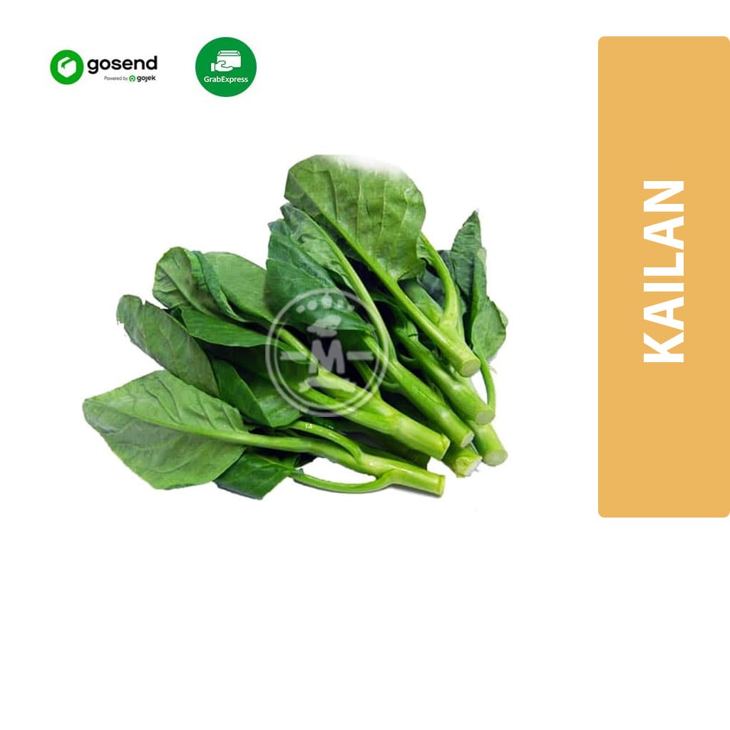 

Kailan Hidroponik KHUSUS INSTANT