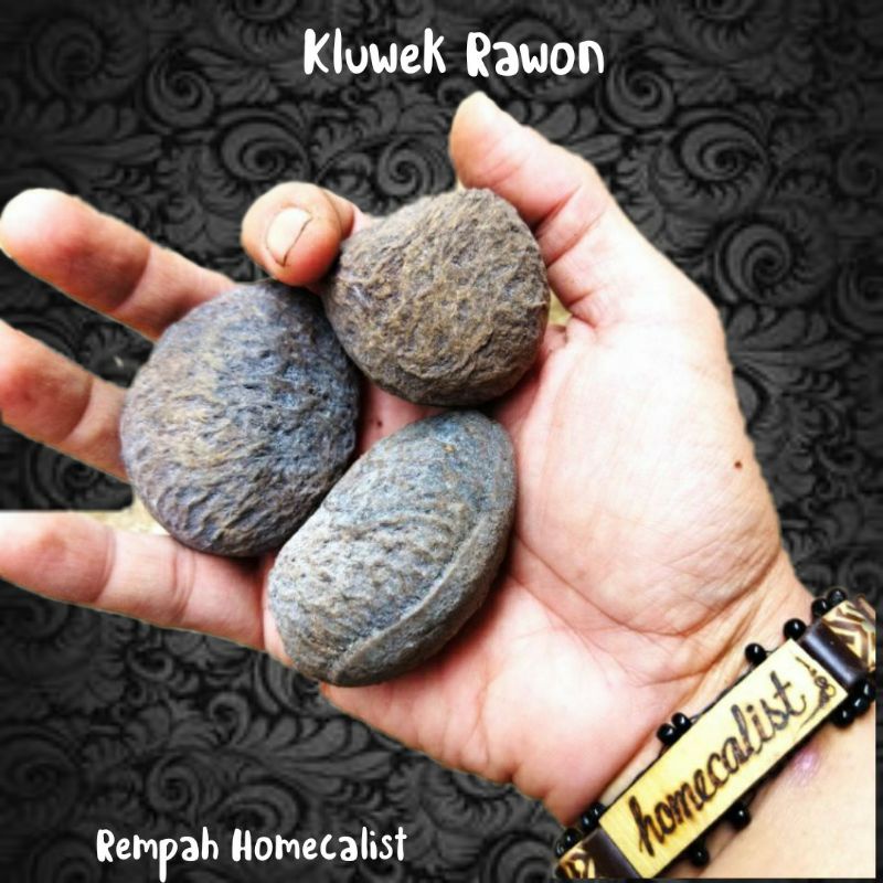 kluwek 100gram-Keluwuk-Pucung-Kluwek Rawon