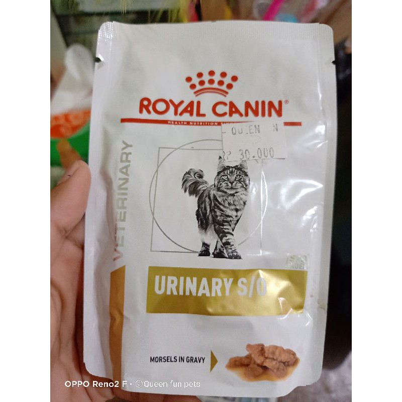royal canin urinary s/o wet food 3