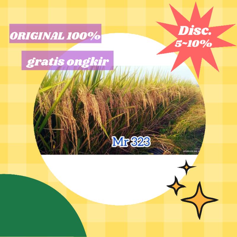 benih padi mr323 premium 5kg