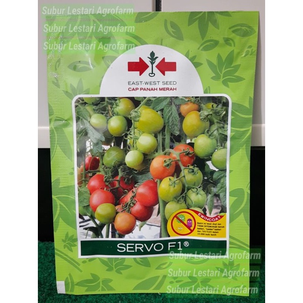 Benih Tomat Servo F1 cap Panah Merah