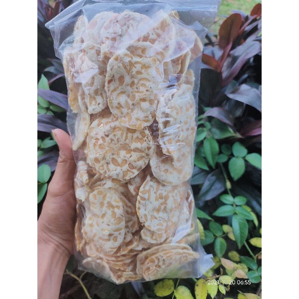 

KRIPIK TEMPE KEMASAN