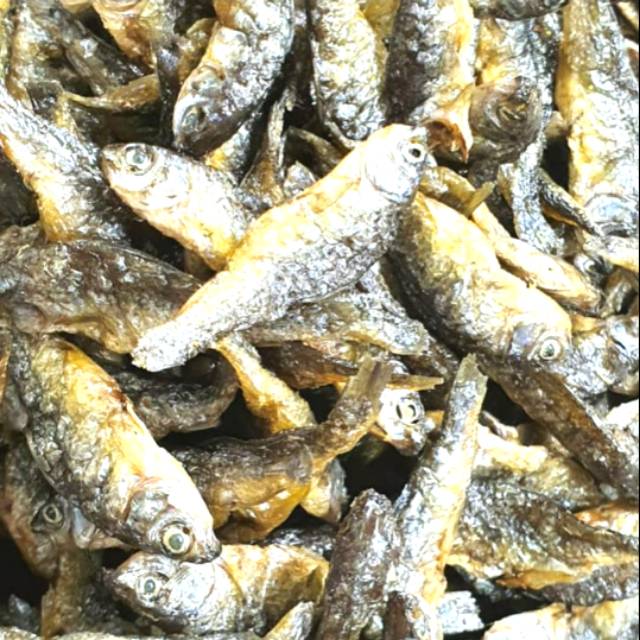 

Ikan bilih/bilis/tawar padang/danau singkarak 250gram