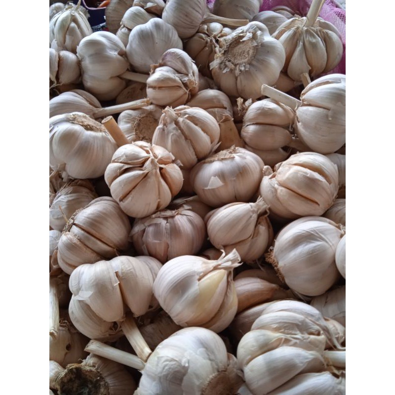 

Bawang putih/250 g