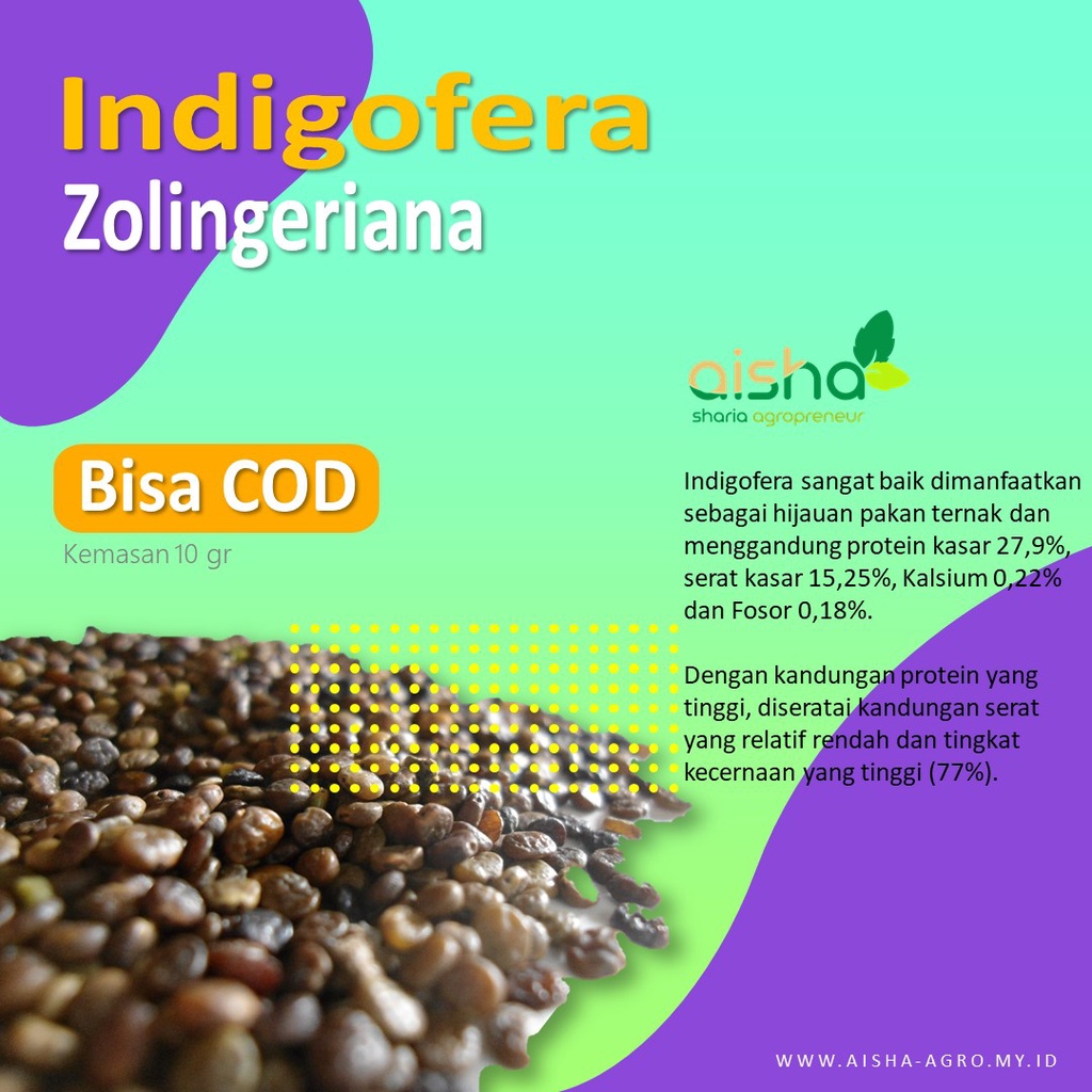Pakan Sapi tanam murah rumput Indigofera Bibit Benih super indigovera biji siap paket