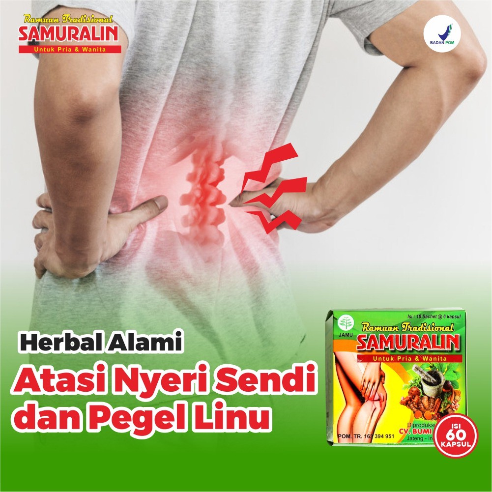 SAMURALIN Obat Herbal Nyeri Sendi Pegal Linu Sakit Pinggang Kesemutan Asam Urat Reumatik  BPOM