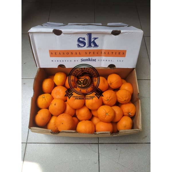 

Jeruk Afourer SK Australia 1 Dus (9 KG) Fresh Import