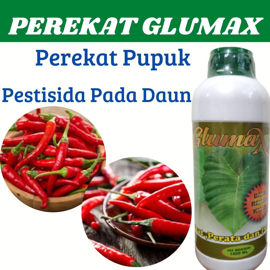Pupuk Antisipasi Musim Hujan Perekat Pupuk Dan Pestisida Glumax, Perekat Perata Pestisida Insektisid