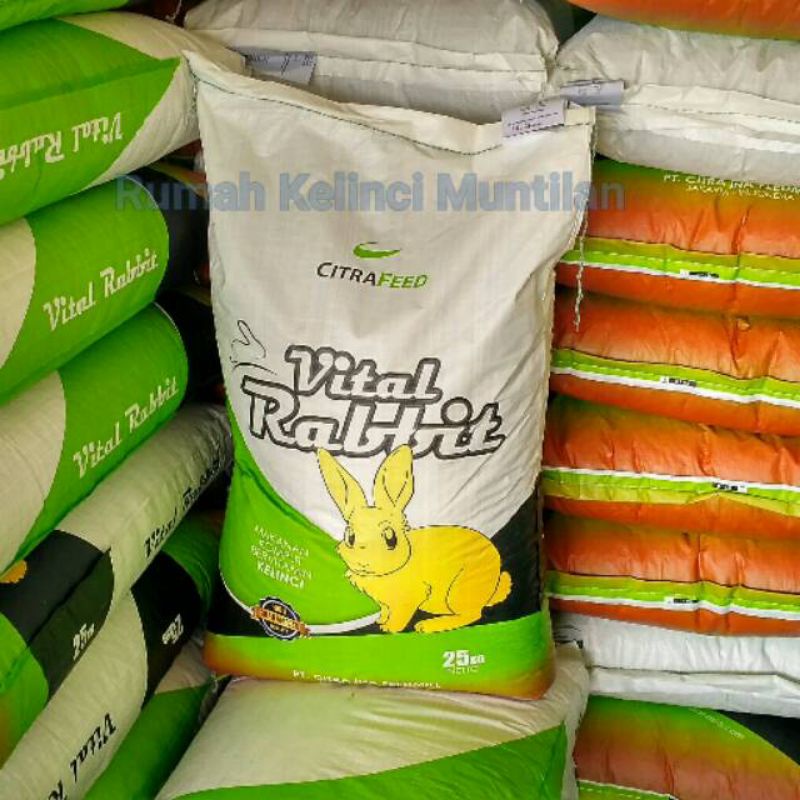 GPSS- Pelet Kelinci Vital Rabbit 1kg Makanan Kelinci Vital Rabbit Pakan Kelinci Vital Rabbit Mainan Kelinci Tempat Makan Kelinci Rumput Hay Kelinci Vitamin Kelinci Pelet Kelinci 1kg Snack Kelinci Hay Kelinci Rumput Kelinci Pelet Kelinci 25kg Kelinci Mini