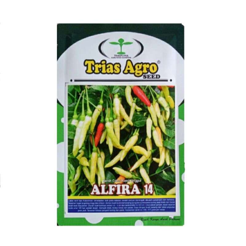 Benih Cabe Rawit Putih Merunduk ALFIRA 14 - Benih Cabe Rawit - Bibit Cabe Rawit - Benih Cabai Rawit