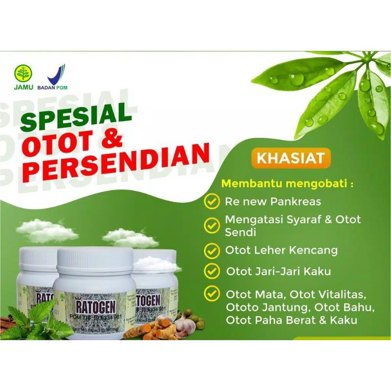 OBAT HERBAL RATOGEN UNTUK OTOT DAN PERSENDIAN PUSPITA RADJA