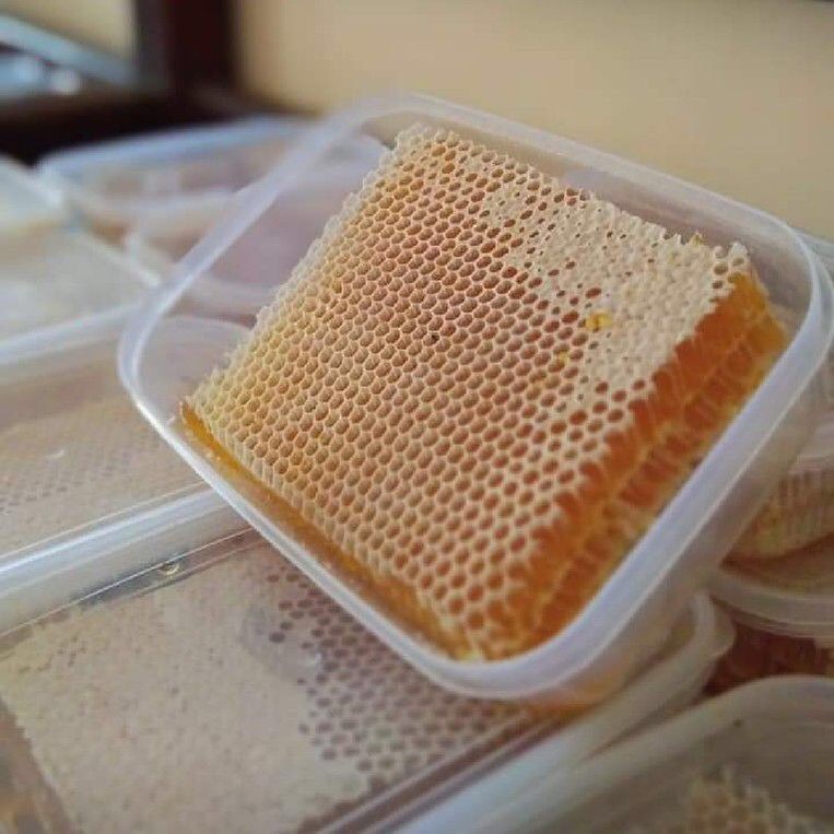 

Madu Sarang 500 gram