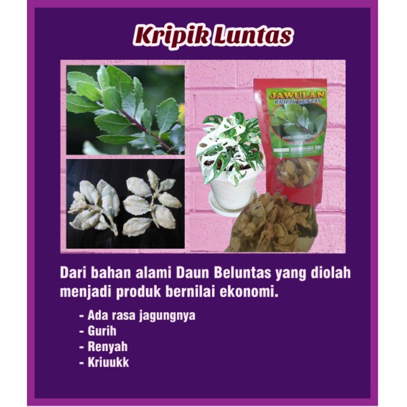 

Keripik Luntas JAWULAN