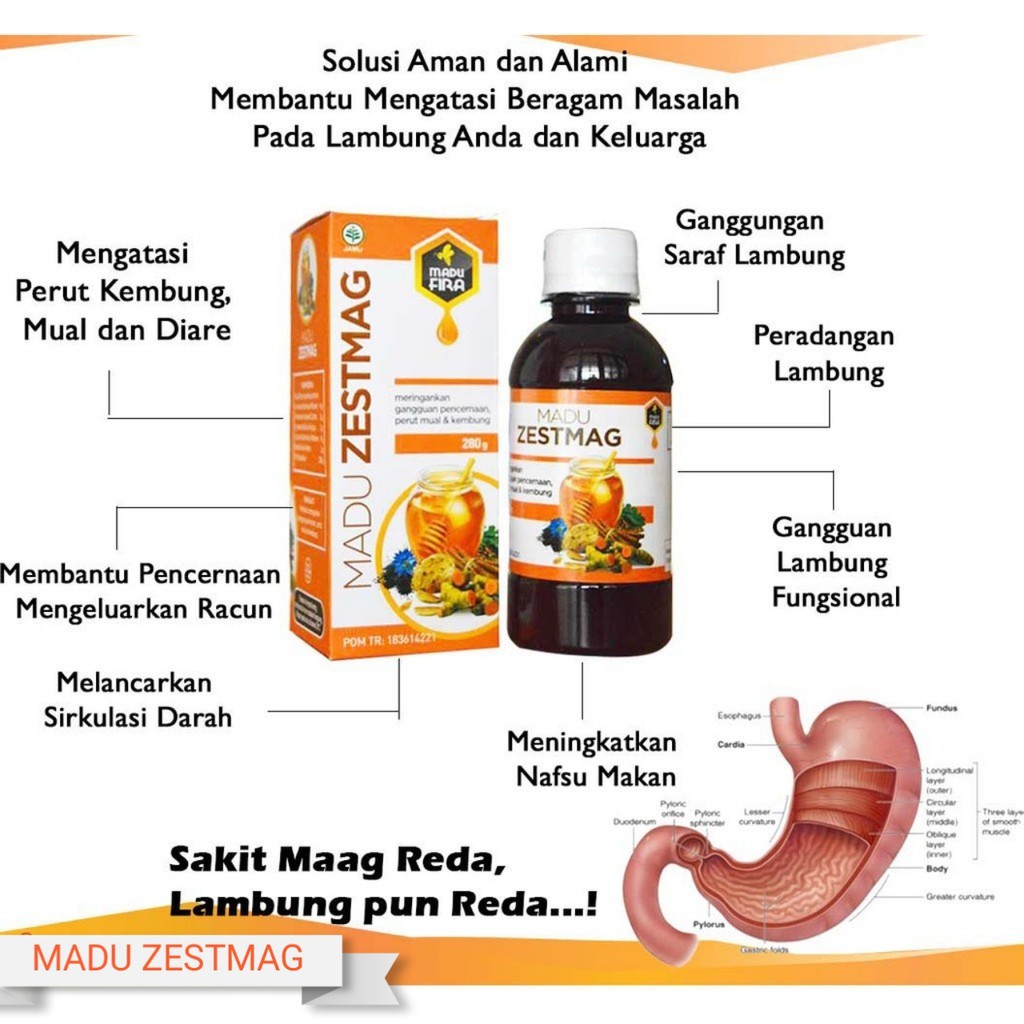 

MADU ZESTMAG Obat Herbal Penurun Asam Lambung Maag Gerd Axienty Maag Kronis Luka Radang Lambung