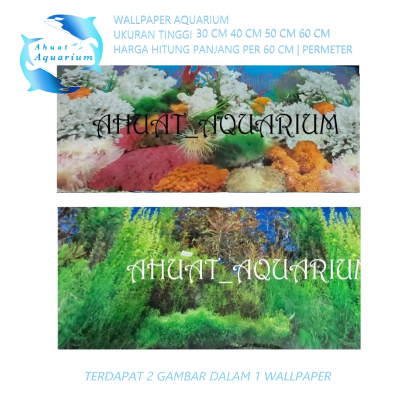 WALLPAPER AQUARIUM 3D CORAL UKURAN 50CM PERMETER 2 GAMBAR DALAM 1 WALLPAPER BACKGROUND AQUARIUM