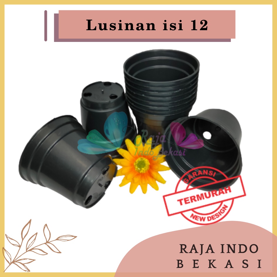 Lusinan Pot 8 Cm Hitam Pot 8cm Plastik Putih Mini Minimalis Kaktus Sukulen Lucu Murah Pot Pembibitan - Lusinan Isi 12pcs