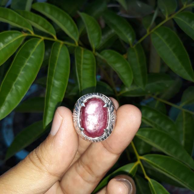 Ruby Star Madagaskar Jumbo