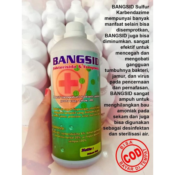 desinfektan sulfur carbendazim BANGSID 1000ml