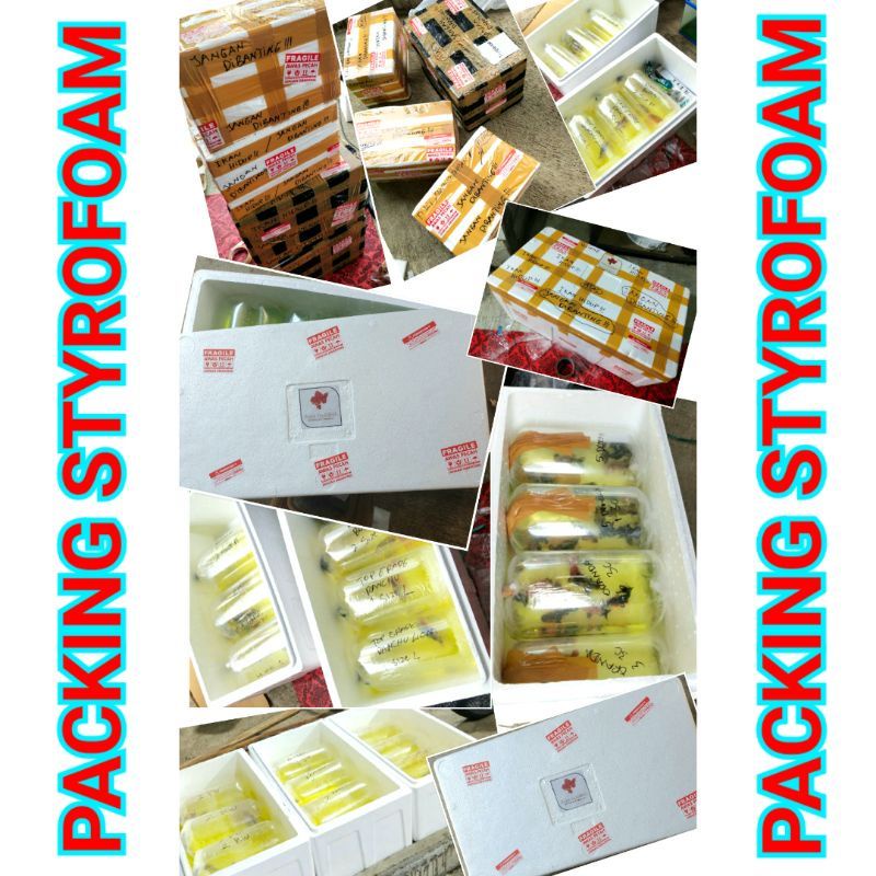 

PACKING KARDUS STEROFOM STYROFOAM