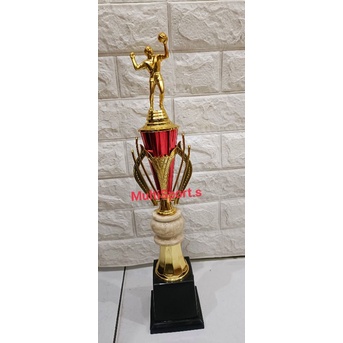 Jual PIALA VOLLY TENIS MEJA BADMINTON BOLA FUTSAL 50 CM | Shopee Indonesia