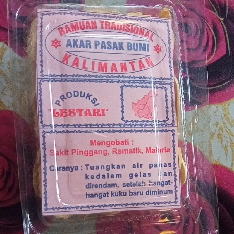 Kayu pasak bumi kalimantan