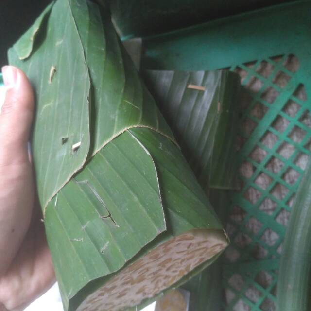 

Tempe besar / 1 papan