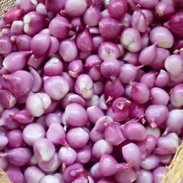 

Bawang Merah Kupas