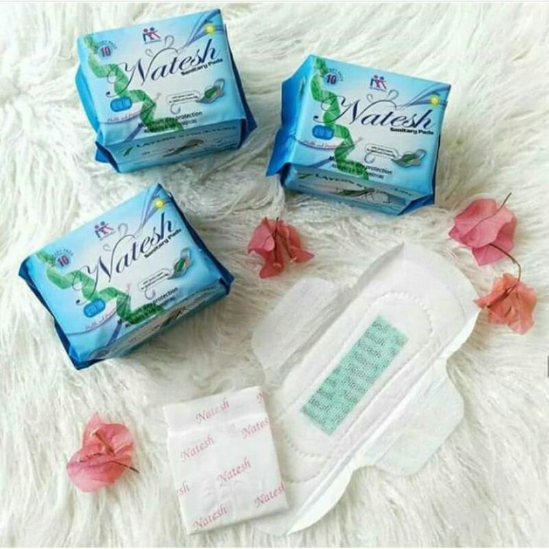 Pembalut Natesh Day