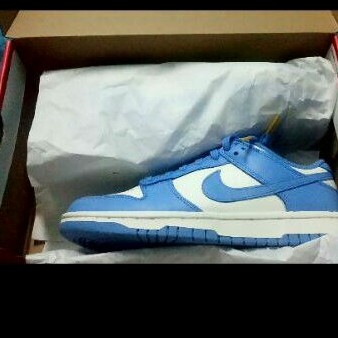 Nike Dunk Low Coast / Dunk Low Coast / Dunk Coast -7.5w